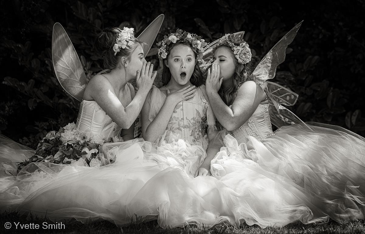 The Shocked Fairy by Yvette Smith